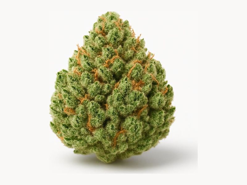 Pink Kush (Aurora) – zdjęcie poglądowe