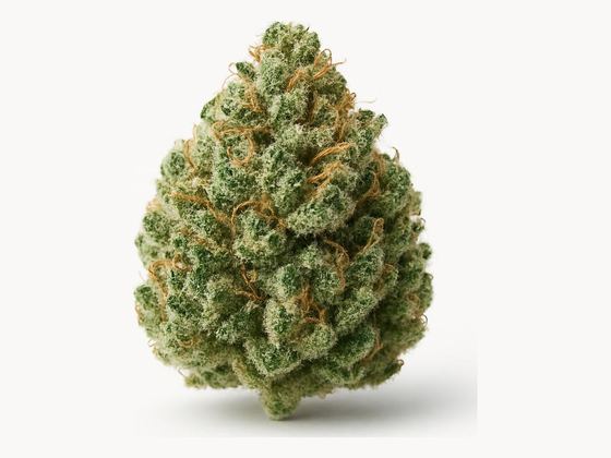 Afghan Kush – zdjęcie poglądowe