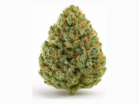 Cataract Kush – zdjęcie poglądowe