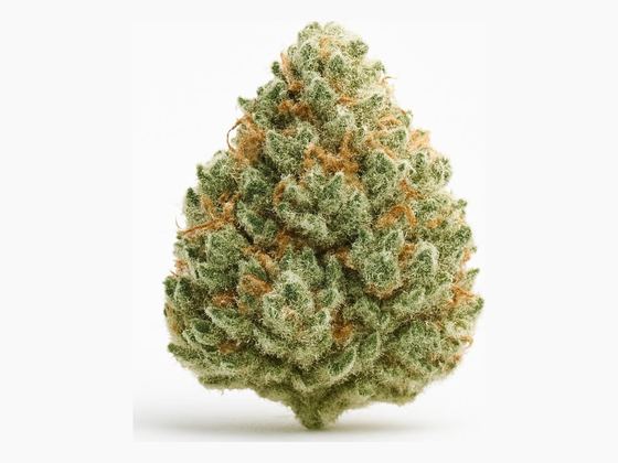 Ghost Train Haze – zdjęcie poglądowe