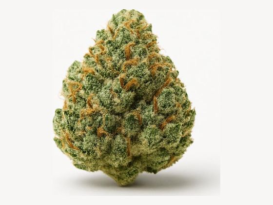 Hindu Kush – zdjęcie poglądowe