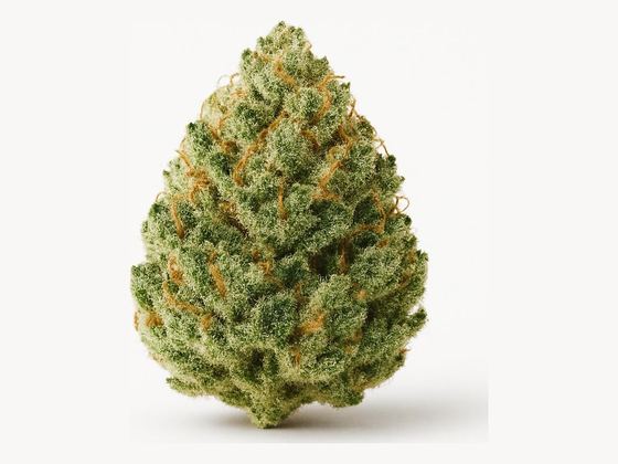 Island Sweet Skunk – zdjęcie poglądowe