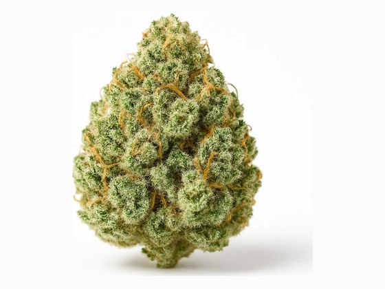 Island Sweet Skunk – zdjęcie poglądowe