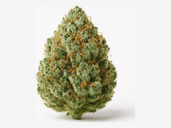 Jack Herer – zdjęcie poglądowe