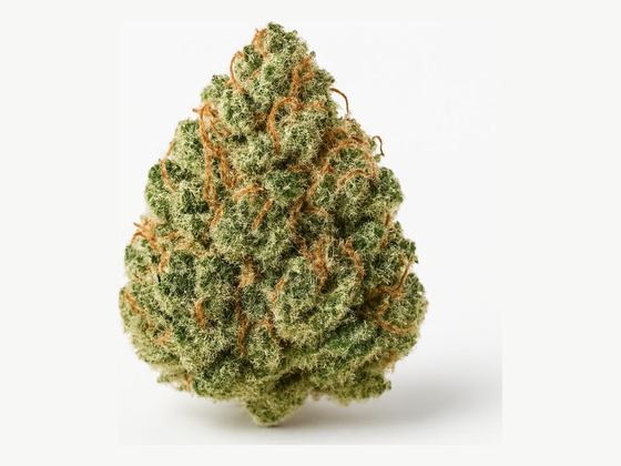 Lemon Haze Gelato – zdjęcie poglądowe