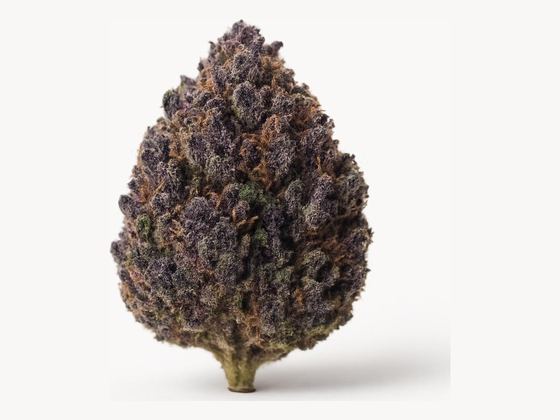 Lilac Diesel – zdjęcie poglądowe
