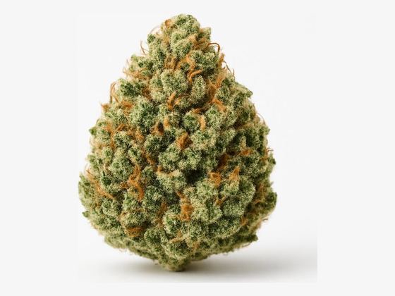 Pink Kush – zdjęcie poglądowe