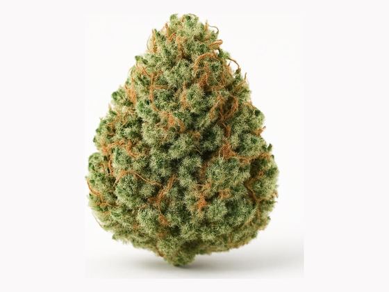 Sour Diesel – zdjęcie poglądowe