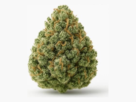 Triangle Mints – zdjęcie poglądowe